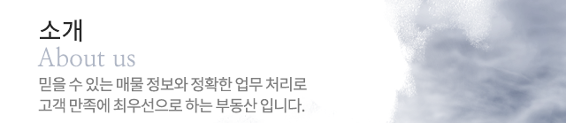 신한솔(연세)공인중개사사무소사업개요